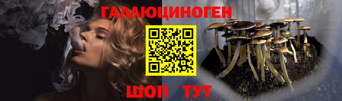 Псилоцибиновые грибы Magic Shrooms  купить  цена  Городец  Вход с VPN 